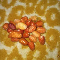 سه نوع سنجدامسال قیمت ۳00الی500