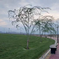 دنبال کارمیگردم