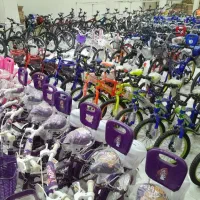 دوچرخه+&کوهستانی/کودکانه