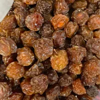 آلوچه خورشتی اعلا