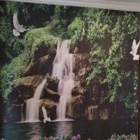 نصب و فروش کاغذ حراجی به قیمت عمده