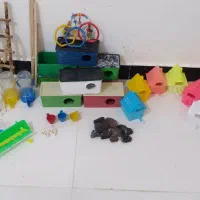 دنیای پرنده