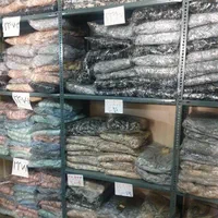 قفسه پلاسکو هایپرمارکت|فروشگاه و مغازه|تهران, افسریه شمالی|دیوار