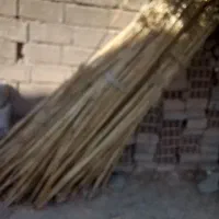 نی تمیز و پاک شده|سازهای سنتی|ایوان, |دیوار