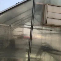 گلخانه خانگی|گل و گیاه طبیعی|تهران, قنات‌کوثر|دیوار