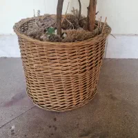 درختچه مصنوعی|گل مصنوعی|تهران, محمودیه|دیوار