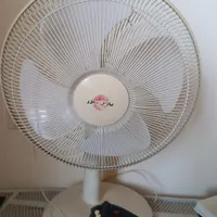 پنکه