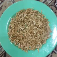بهار نارنج خوش عطر و رنگ