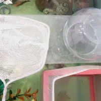 فروش ماهی های اکواریومی