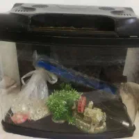 اکواریوم با کل لوازم