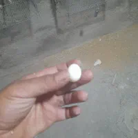 تخم البینو به شرط نطفه تست کن بعد ببر