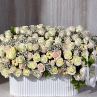 دسته گل و باکس گل به قیمت عمده|گل و گیاه طبیعی|شیراز, مبعث|دیوار