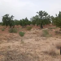 فروش زمین مزرعه