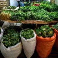 کارگر جهت کار در سبزی فروشی