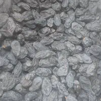 فروش آبغوره مویز سیاه ورجبی بادام سنگی دشمن زیاری|خوردنی و آشامیدنی|شیراز, شیخ روزبهان|دیوار