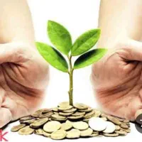 دنبال سرمایه هستیم با بازپرداخت خوب و بالا