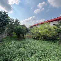 277متر-زمین-مسکونی-لکه-زرد-سند-تک-برگ-جاده-نظامی