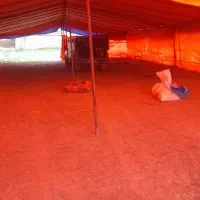 چادرداربستبرایمراسمات عقدوعروسی|خدمات پذیرایی، مراسم|گرگان, |دیوار