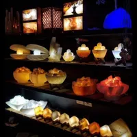 انواع اباژور نمک در طرح های مخطلف