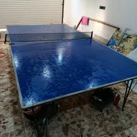 میز پینگ پنگ سالم|ورزش‌های توپی|رامسر, |دیوار