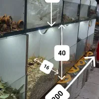 تابلو ال ای دی همراه استند ام دی اف وسایل دکان|صنایع دستی و سایر لوازم تزئینی|آزادشهر, |دیوار