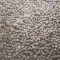 گردو|عمده‌فروشی|اهواز, بهارستان|دیوار