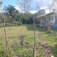 فروش خانه ۴۵۰ متری در چماچا،زیر قیمت منطقه|فروش خانه و ویلا|شفت, |دیوار