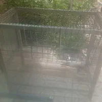 قفس المینیوم مناسب نگهداری پرنده