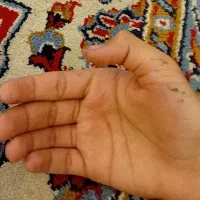 گوشی سامسونگ