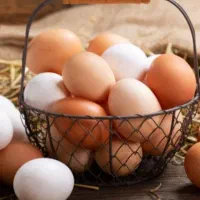 تخم مرغ محلی نطفه دار