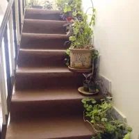 سوئیت روزانه هفتگی ماهانه|اجارهٔ کوتاه‌مدت آپارتمان و سوئیت|تفرش, |دیوار