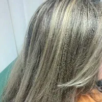 مدل برای رنگ و مش