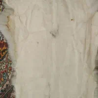 پادری پوست خرگوش یا پوست خرگوش اصل|پادری|تهران, مولوی|دیوار