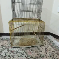 قفس مرغ عشق،طوطی،قناری