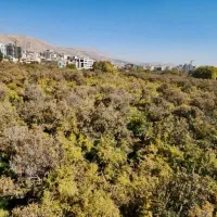 ۲۰۰ متر/ در دل باغات قصردشت