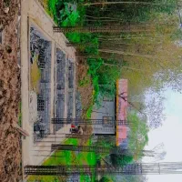 آرماتور بندی|خدمات پیشه و مهارت|املش, |دیوار