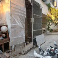 قفس آهنی درجه یک پرنده