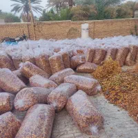 خرید خرما کده