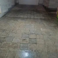 نیروی جوان