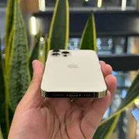 آیفون ۱۲ پرو|موبایل|رشت, چله خانه|دیوار