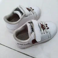 کتونی|کیف، کفش، کمربند|گلستان (تهران), |دیوار