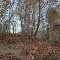 باغ ویلایی کنار رودخانه