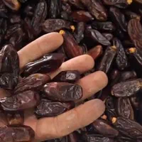 خرمای ربی درجه یک ایرانشهر بدون نیاز به سردخانه|خوردنی و آشامیدنی|تهران, ستارخان|دیوار
