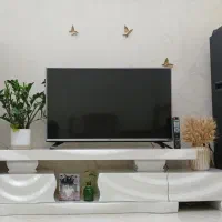 پخش کننده صدا خانگی rock