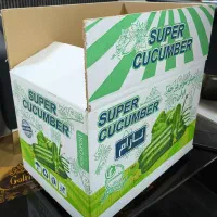 تولید و پخش انواع کارتن تره بار یزد|عمده‌فروشی|کهنوج, |دیوار