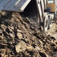 فروش کود گاوی و گوسفندی