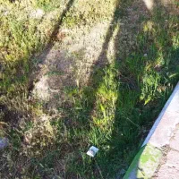 خاک|فروش زمین و ملک کلنگی|فرح آباد, |دیوار