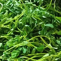 پخش عمده سبزی و وسایل فریزری با قیمت های مناسب|خوردنی و آشامیدنی|اسلام‌شهر, ایرین|دیوار