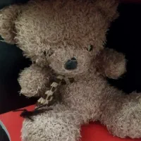 اسباب بازی|اسباببازی|مشهد, شهید قربانی|دیوار