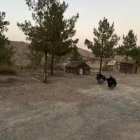 استخدام نیروی فنی و ابیاری و نظافتی